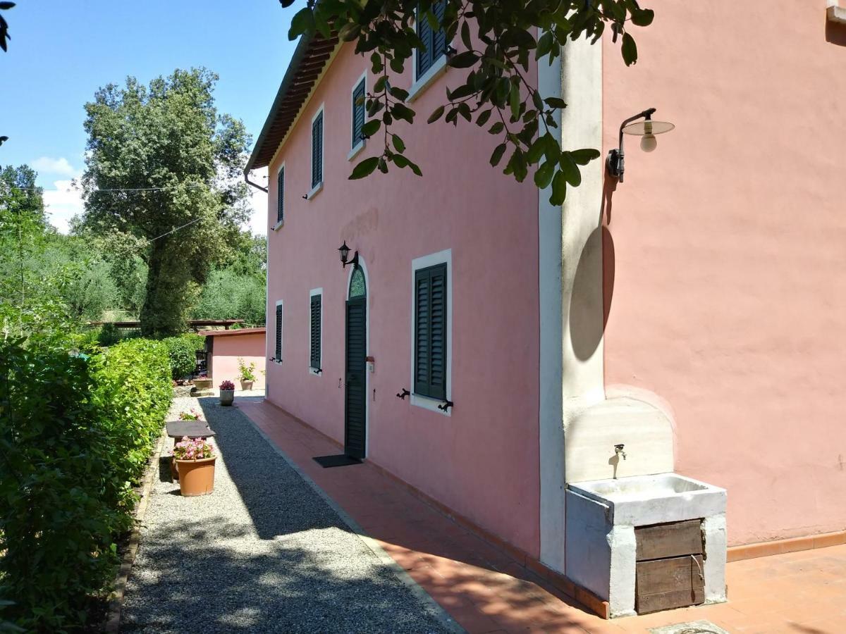 Podere Il Leccione Palaia Extérieur photo